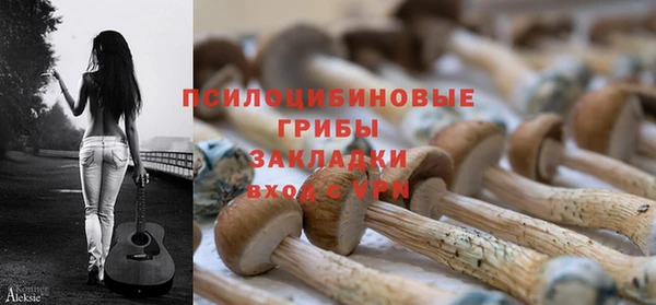 прущая мука Ладушкин