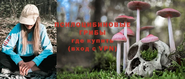 прущая мука Ладушкин