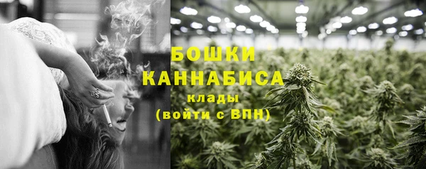 первитин Лабытнанги