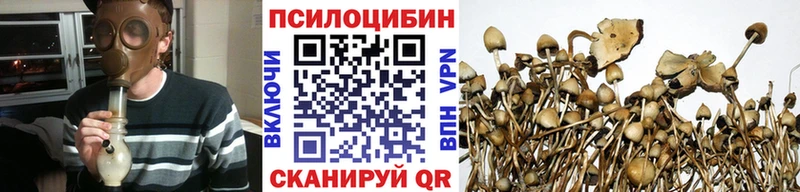 купить наркоту  Хадыженск  Псилоцибиновые грибы Magic Shrooms 